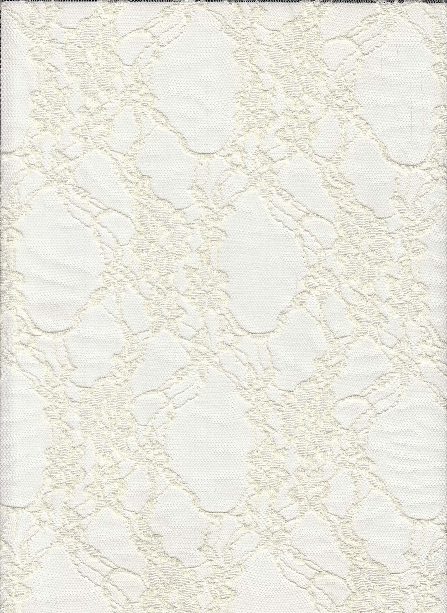 19608 IVORY OFFWHITE/IVORY STRETCH LACE