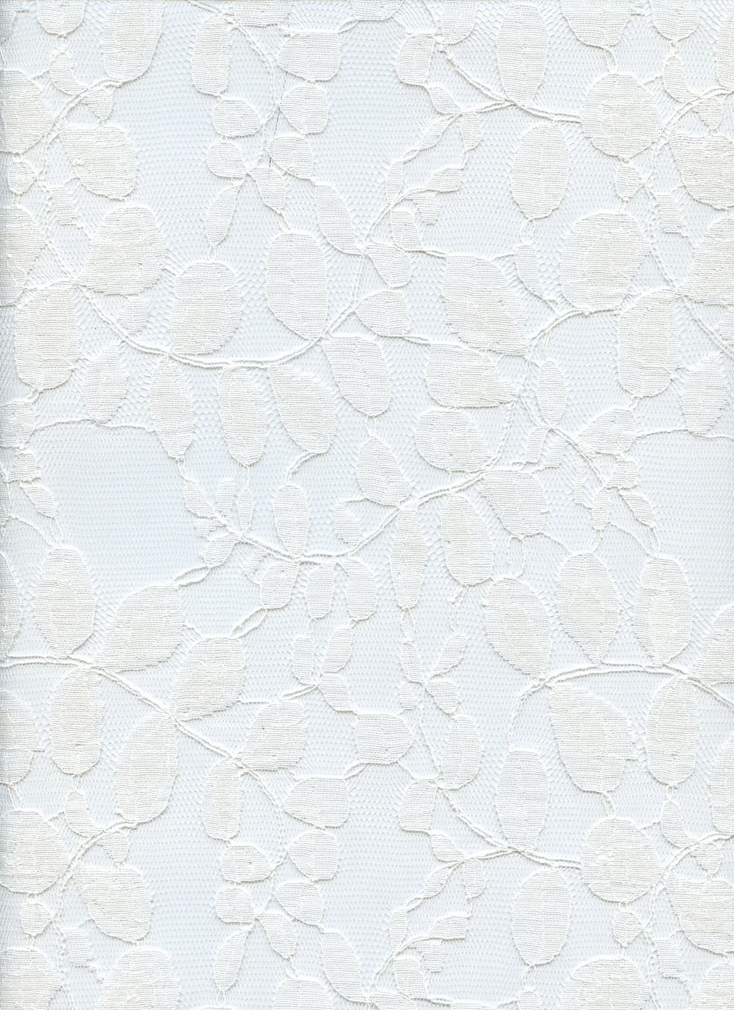 19607 WHITE NON STRETCH LACE WHITE