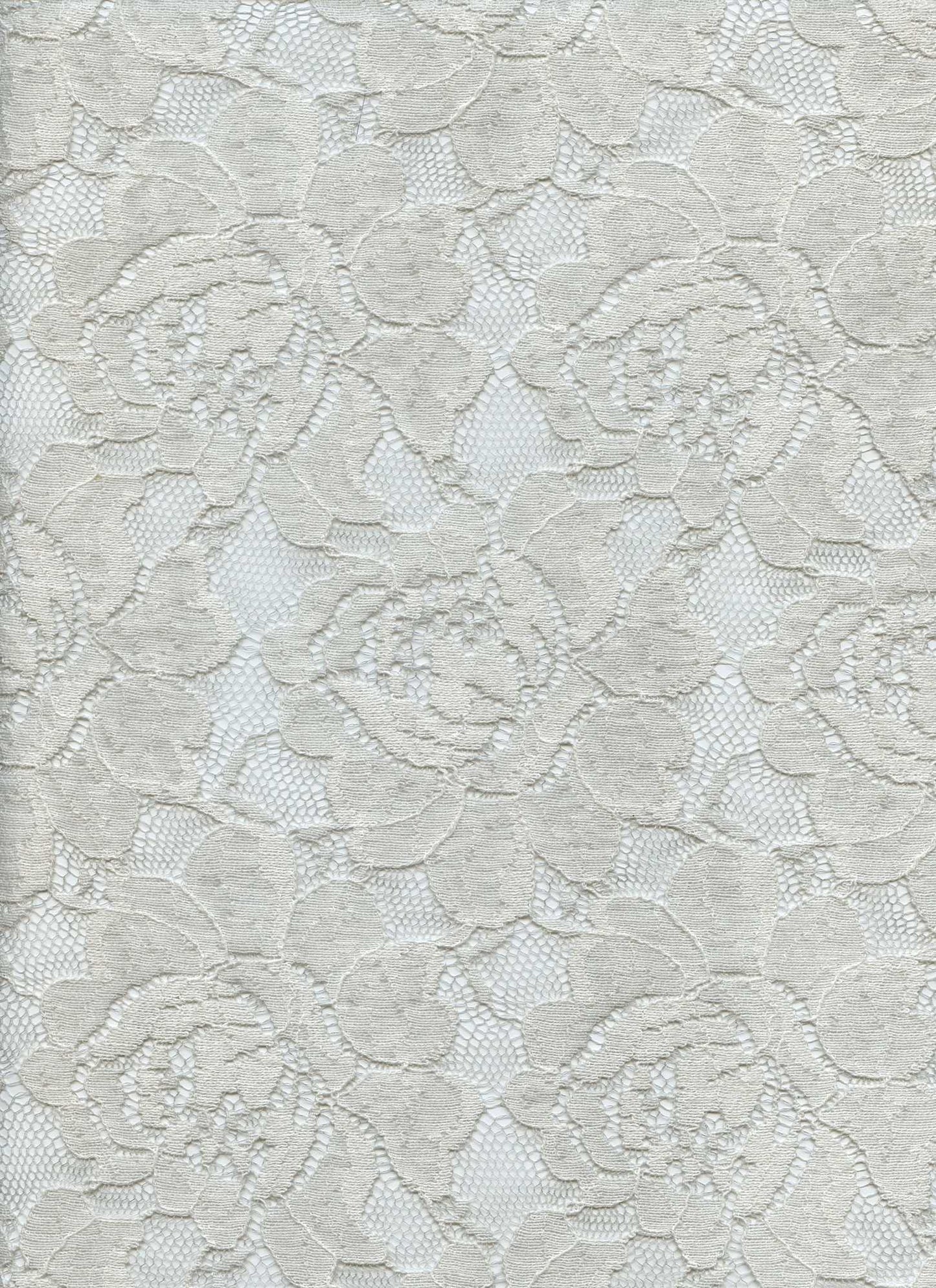 X20010 ANTIQUE WHITE NON STRETCH LACE WHITE