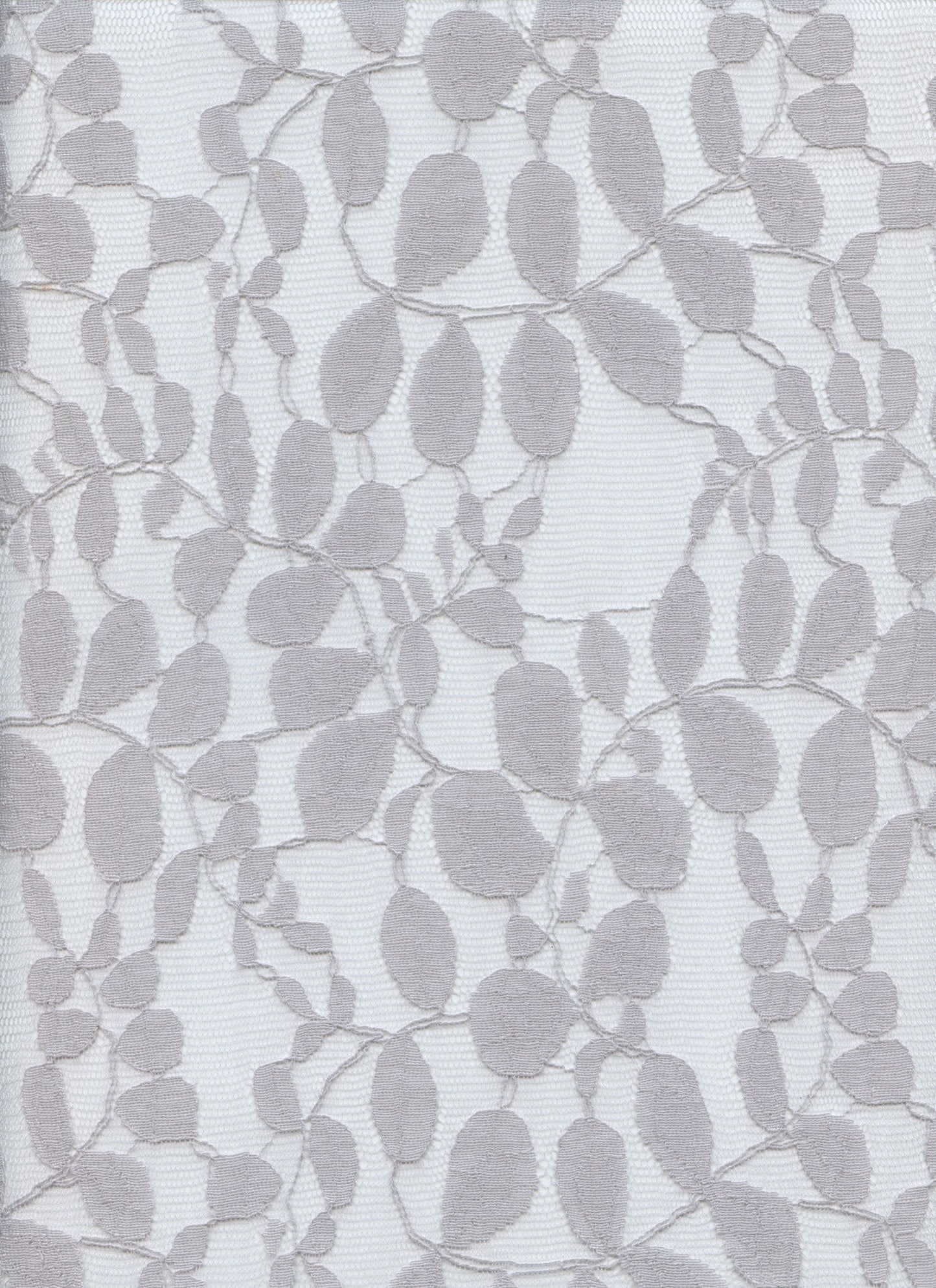 19607 GREY GREY NON STRETCH LACE
