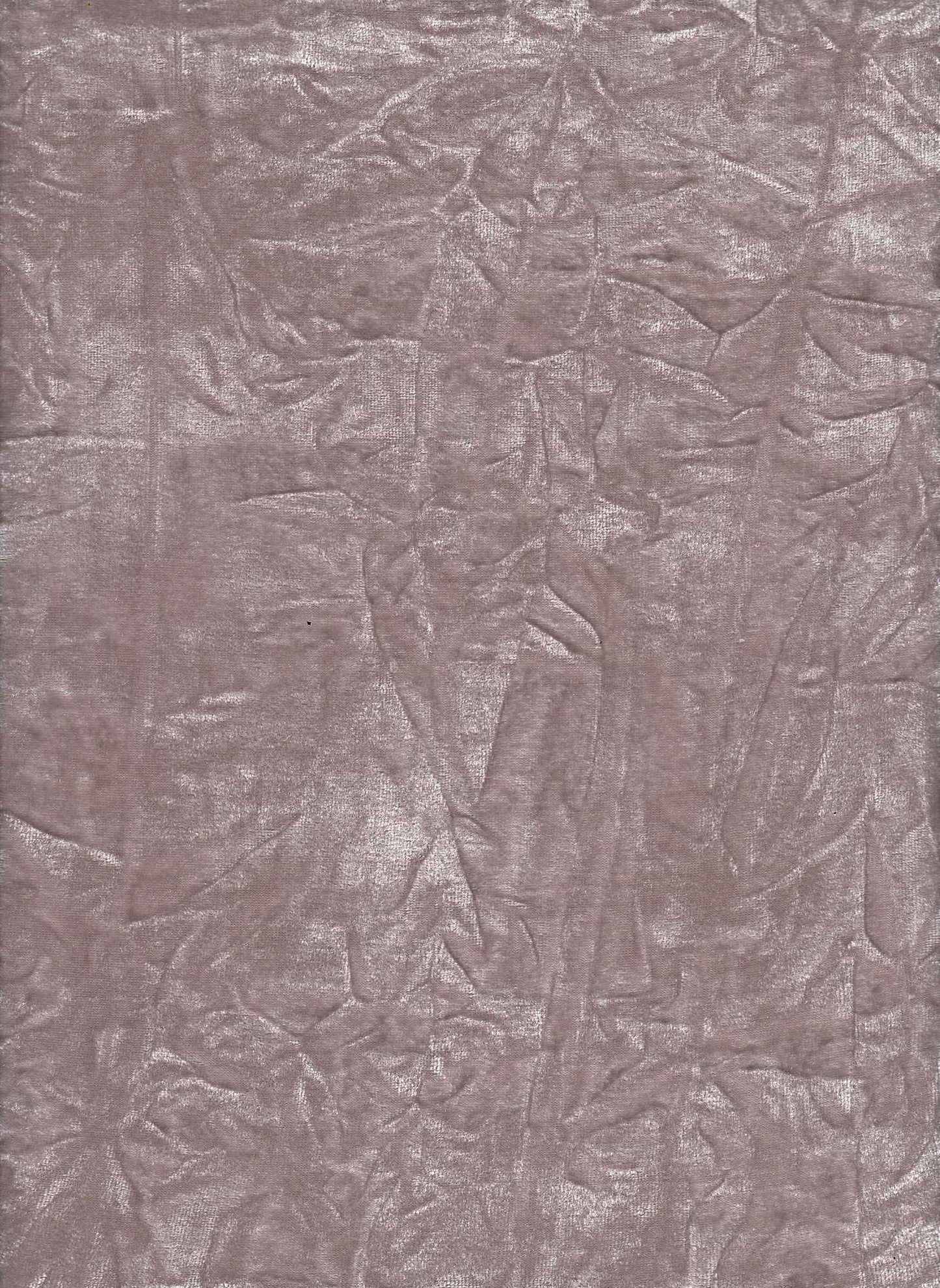 18384 CHAMPAGNE BROWN COZY/BRUSH CRINKLE CRUSH PLEATED JACQUARD/NOVELTY KNITS SOLIDS VELOURS