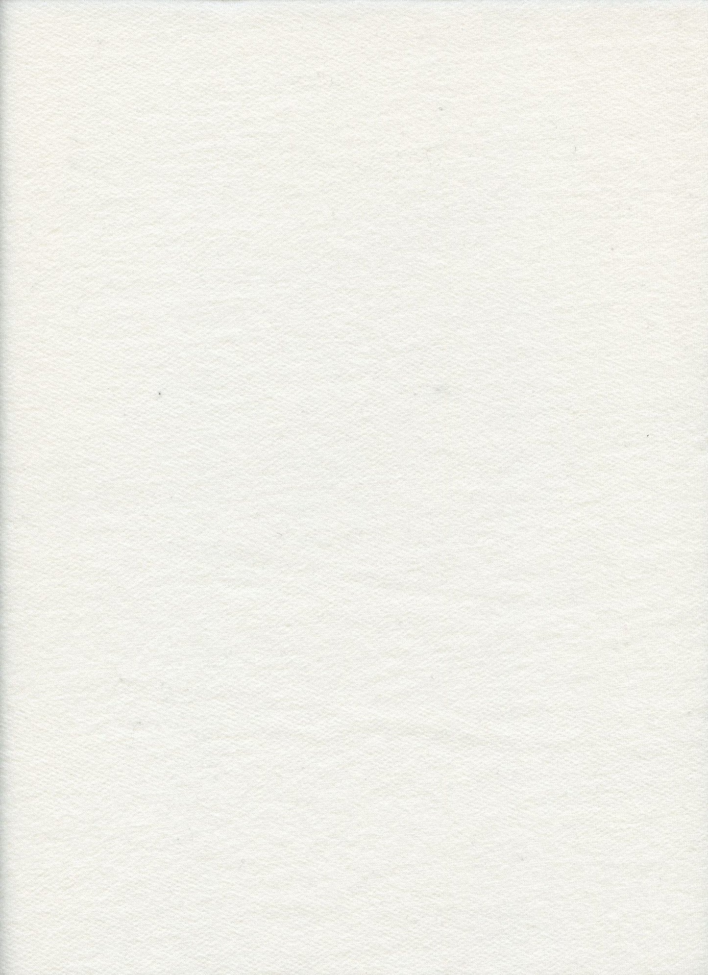19405 IVORY COZY/BRUSH KNITS OFFWHITE/IVORY SOLIDS