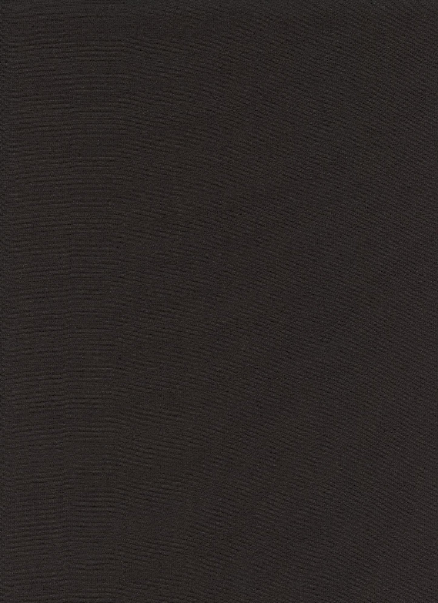 19602 BLACK BLACK CHIFFONS SOLIDS WOVEN