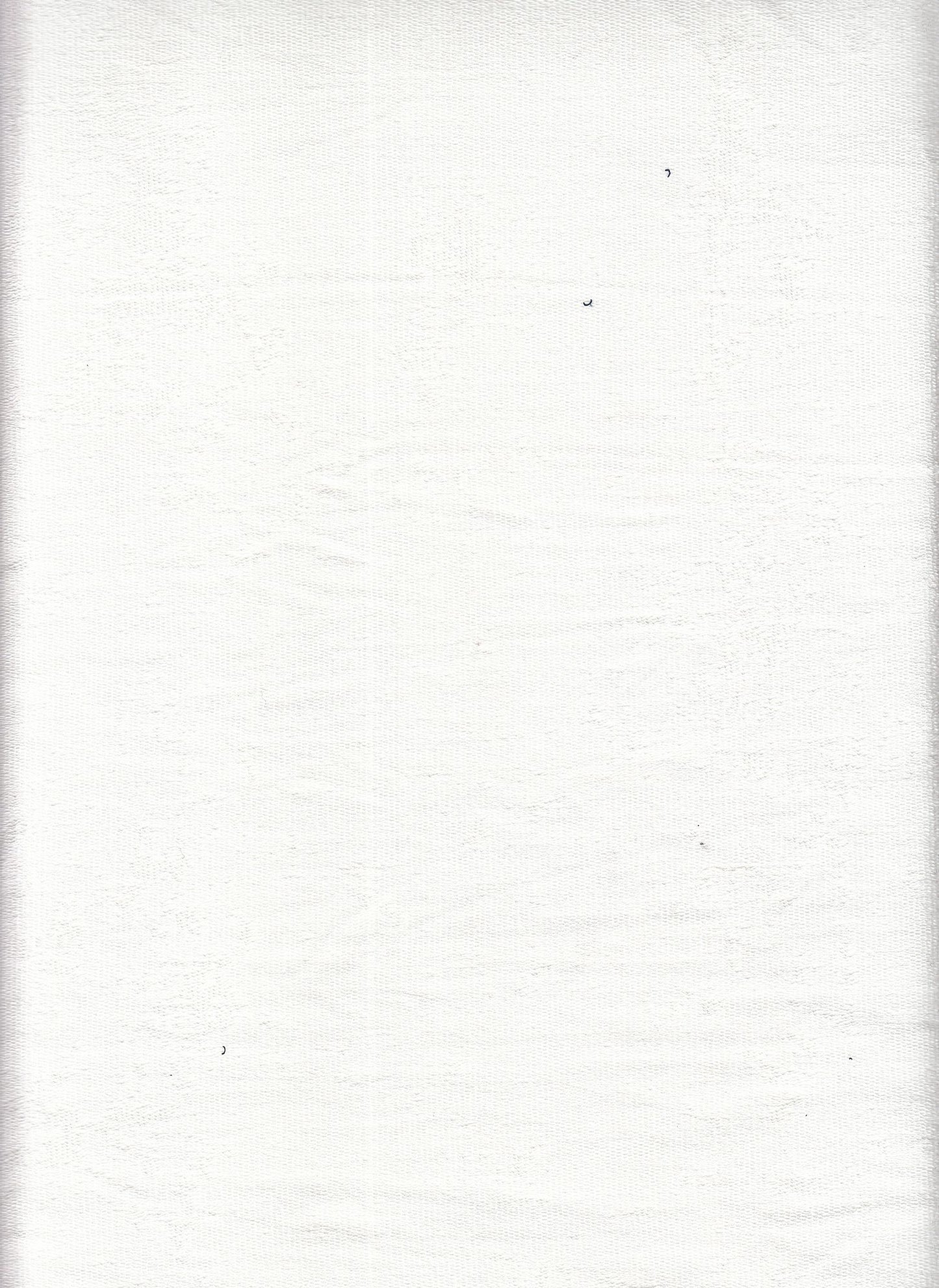 18319 FR TERRY OFFWHITE ATHLETIC JERSEY RAYON SPANDEX SOLIDS TOP SELLERS