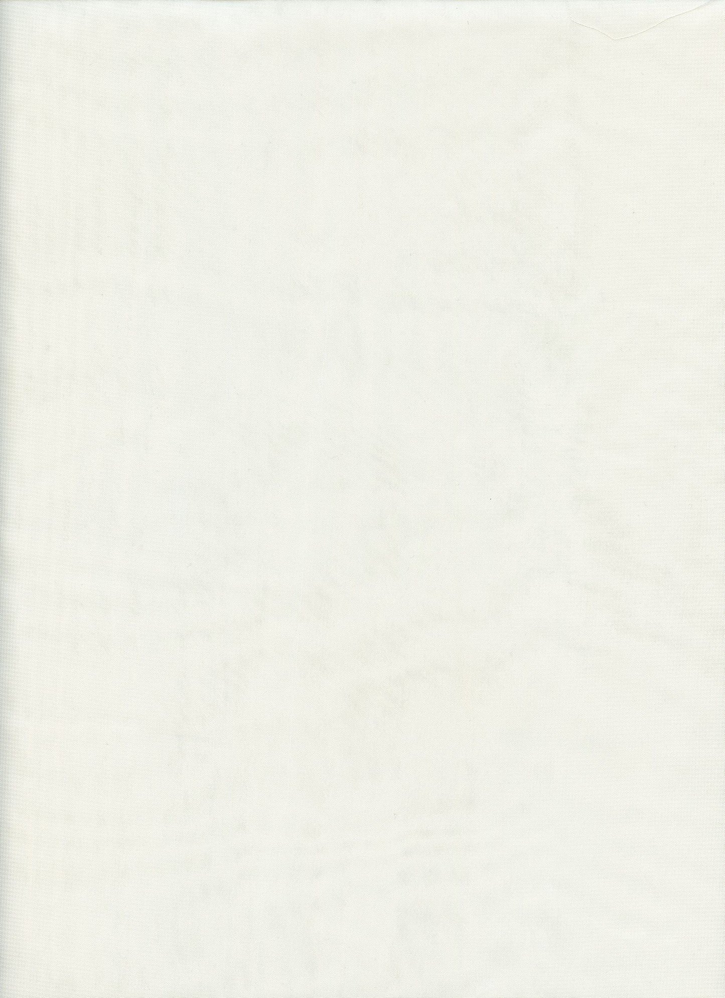 19602 NATURAL LIGHT CHIFFONS OFFWHITE/IVORY SOLIDS WHITE WOVEN