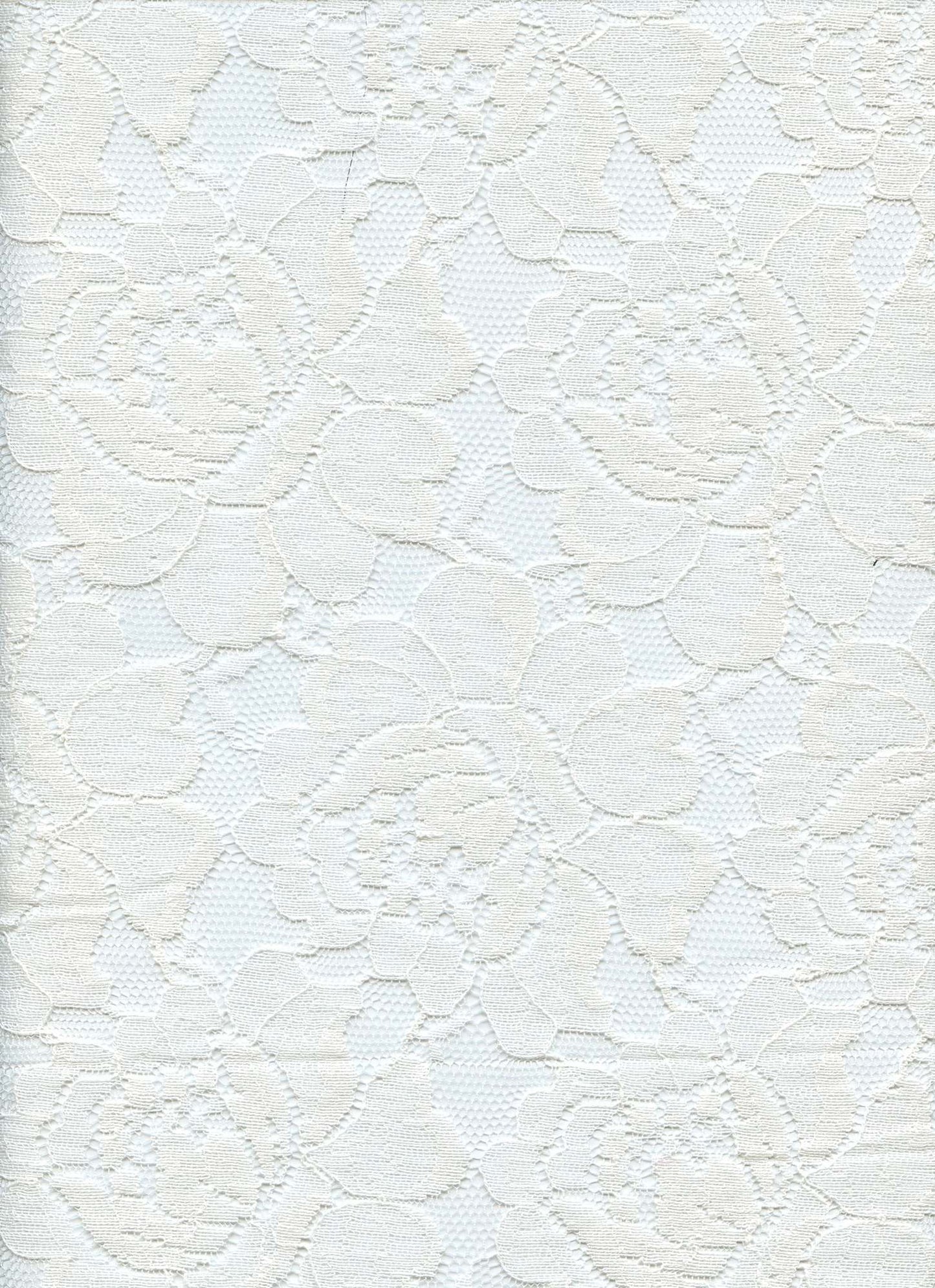 19606 WHITE NON STRETCH LACE WHITE