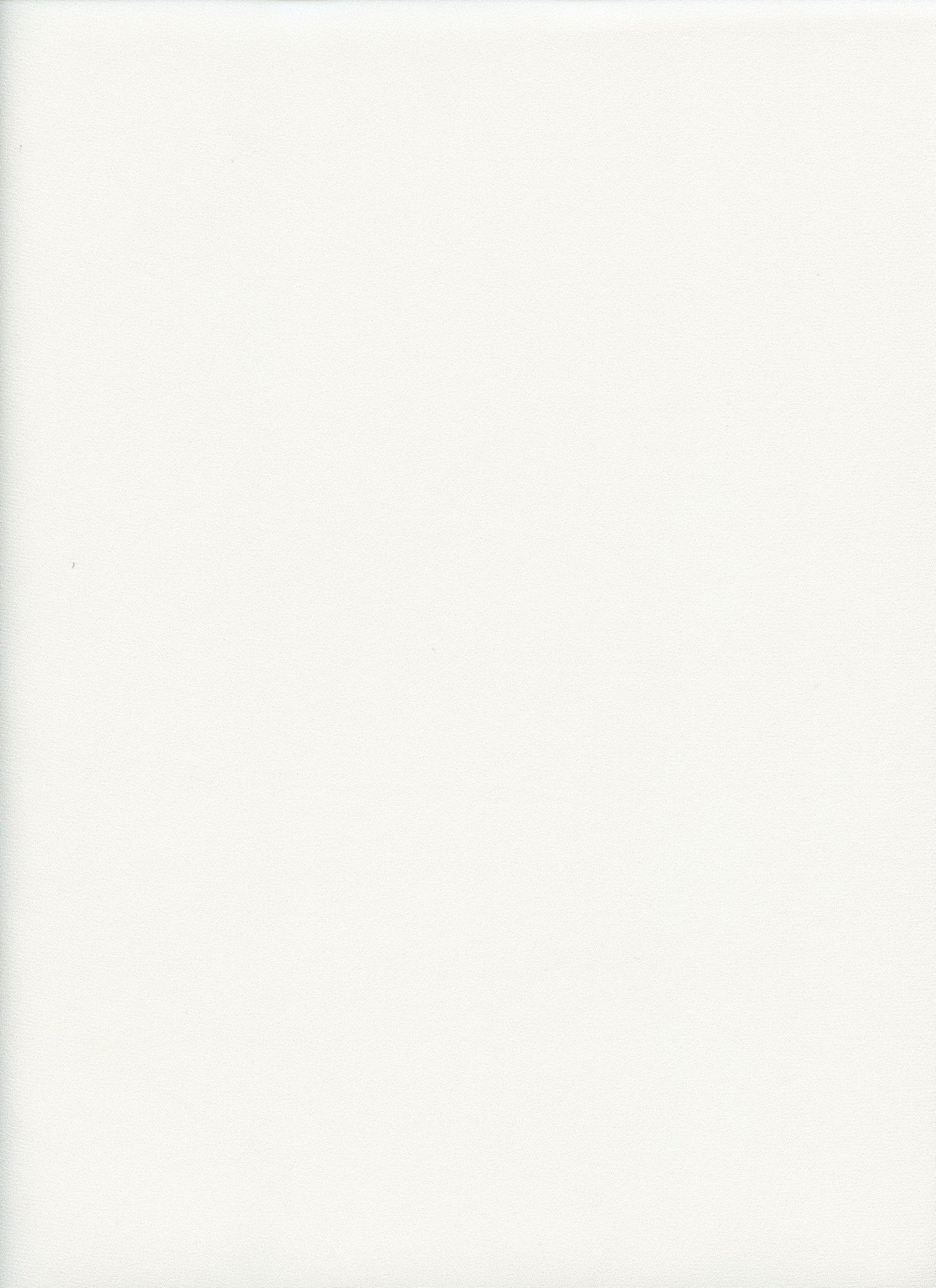 15086 IVORY OFFWHITE/IVORY SOLIDS TEXTURED WOOL DOBBY WOVEN