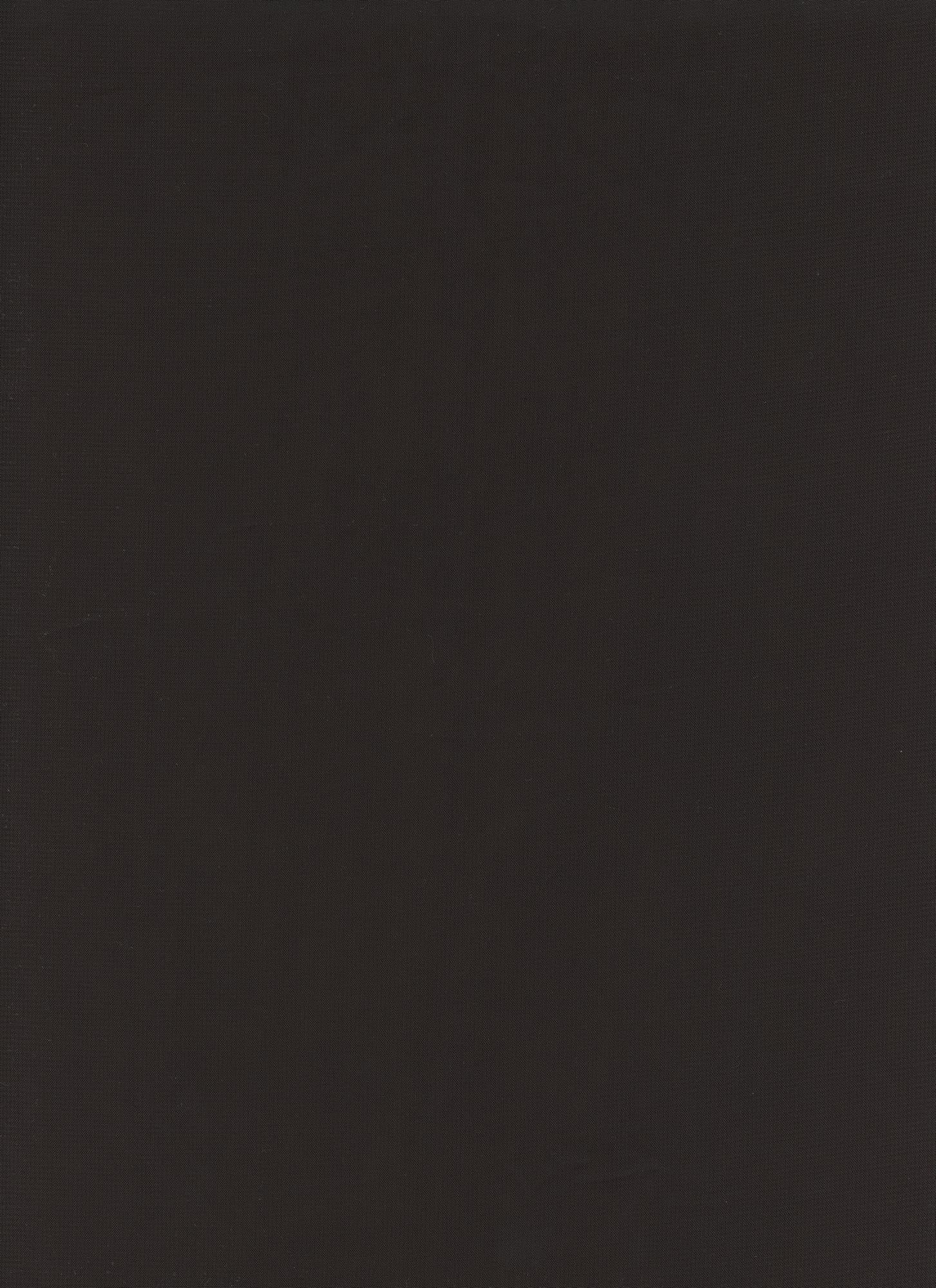 19602 BLACK BLACK CHIFFONS SOLIDS WOVEN