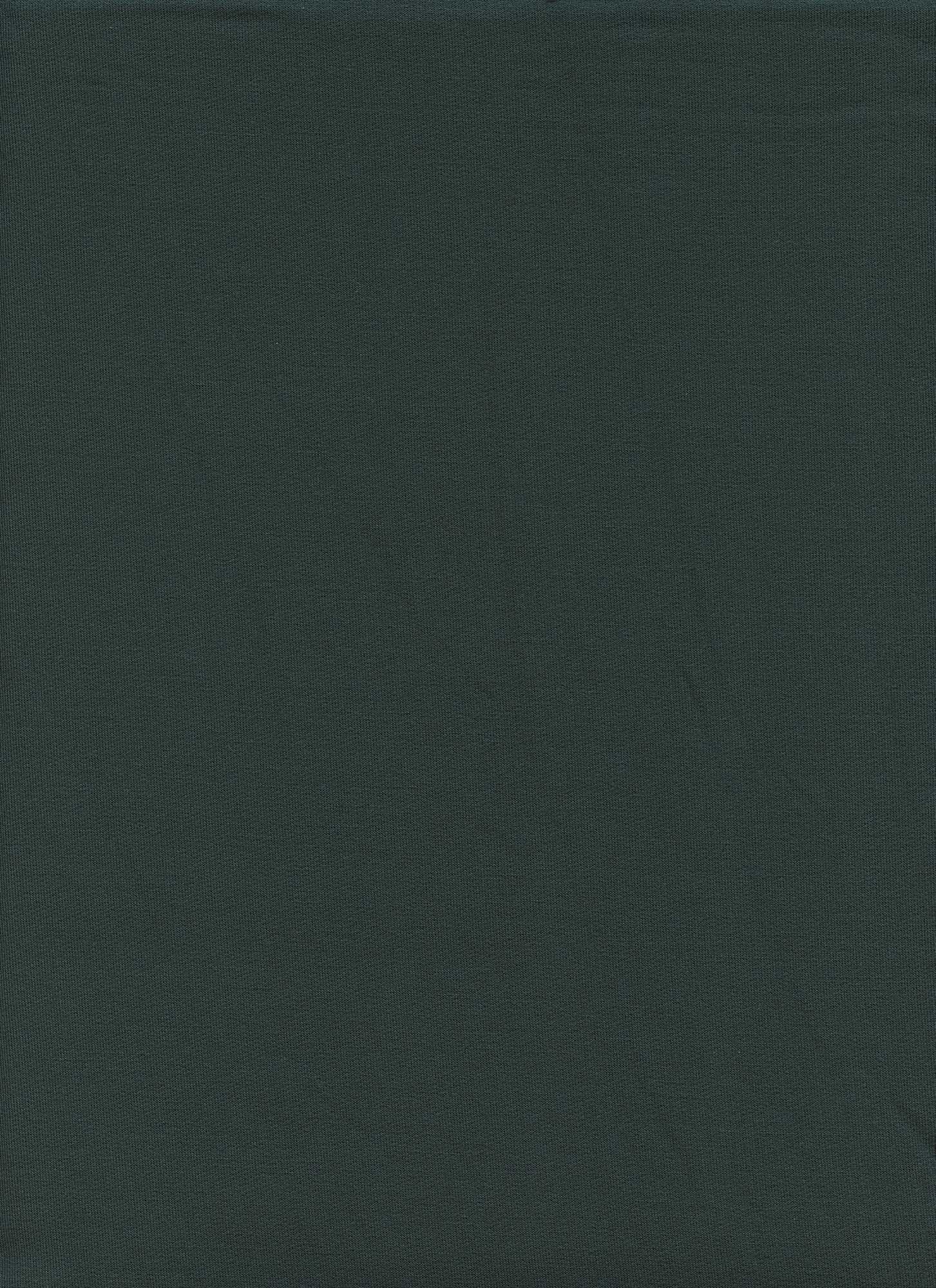 12128 SPRUCE COZY/BRUSH FRENCH TERRY GREEN KNITS RAYON SPANDEX SOLIDS