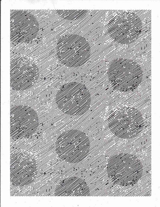 PDOT 10013 WHITE/BLACK BLACK CHIFFONS PRINTS WOVEN