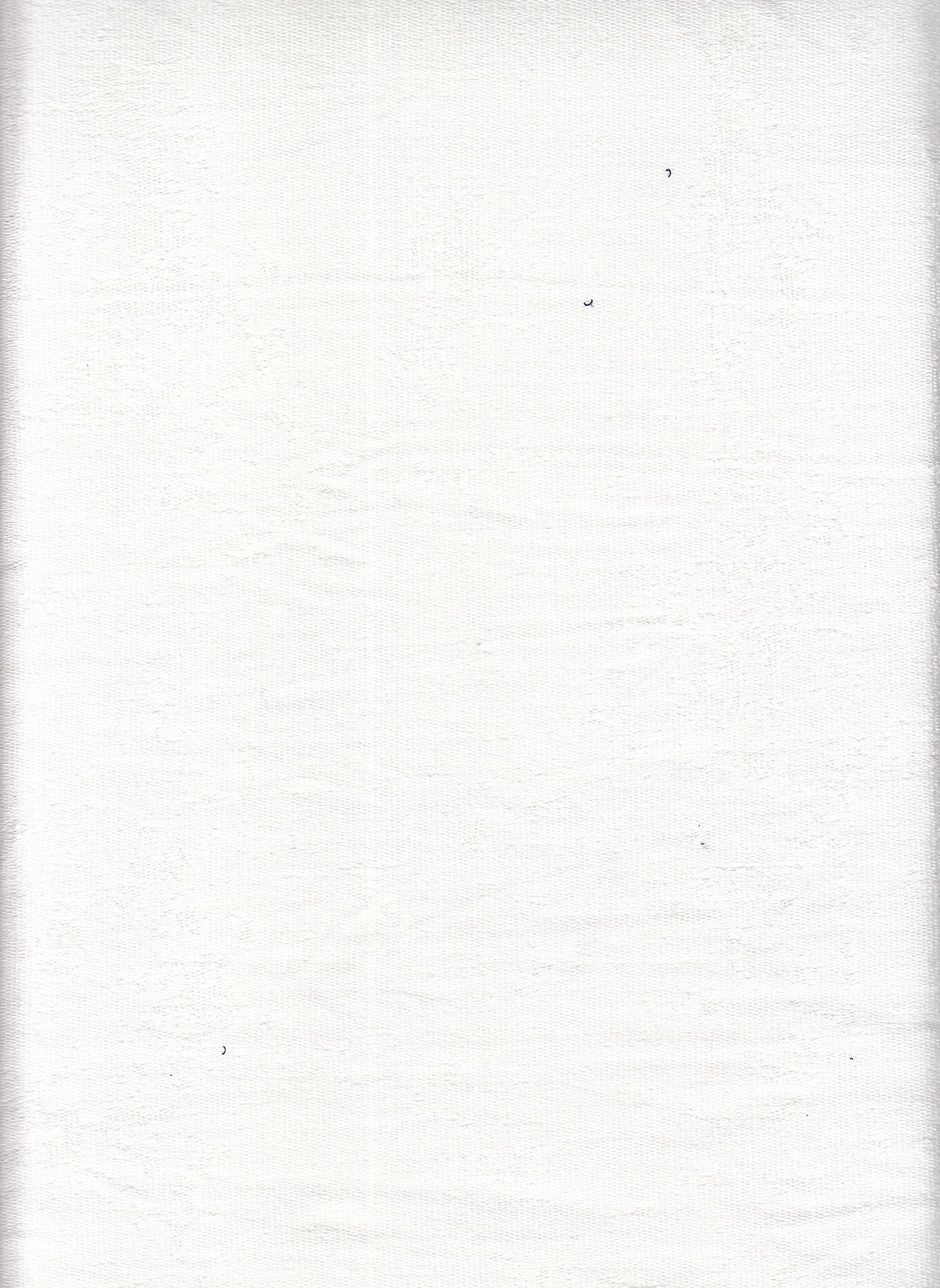 18319 FR TERRY OFFWHITE ATHLETIC JERSEY RAYON SPANDEX SOLIDS TOP SELLERS